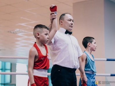 I межрегиональный турнир по боксу памяти Героя России Дамира Гилемханова / Фото: Анастасия Брагина