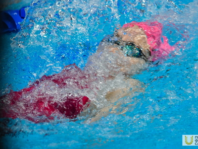 Финал Кубка России по плаванию / Фото: Павел Железняк