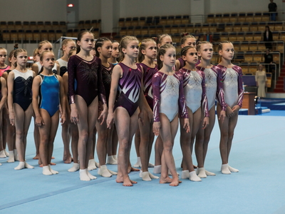 Открытие первенства России по спортивной гимнастике / фото: минспорт РТ