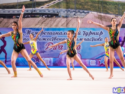 Всероссийский день гимнастики / фото: Вячеслав Сатонин, Павел Железняк