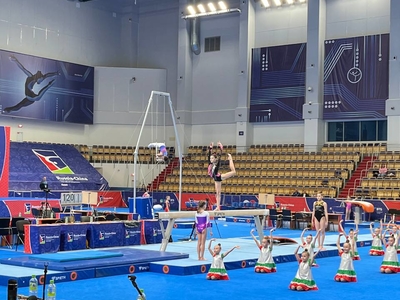 
Международные соревнования по спортивной гимнастике
