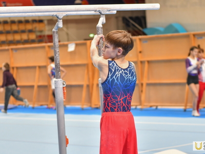 Алексей Немов на Кубке РТ по спортивной гимнастике / Павел Железняк