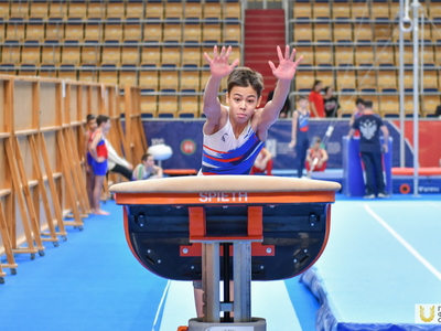 Алексей Немов на Кубке РТ по спортивной гимнастике / Павел Железняк