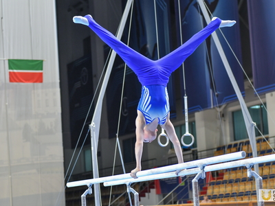 Алексей Немов на Кубке РТ по спортивной гимнастике / Павел Железняк