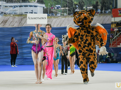 Региональные соревнования по спортивной акробатике "Поволжье" / Павел Железняк