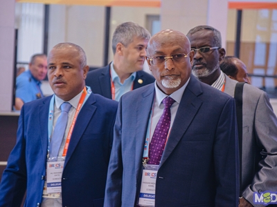 Meeting of the BRICS Sports Ministers / Egor Danilov, Danil Alekhin, Pavel Zheleznyak