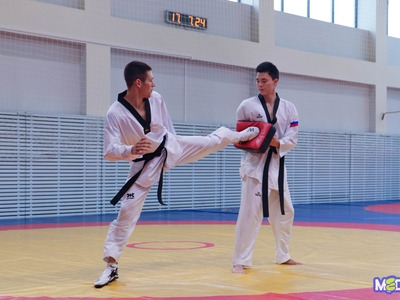 Entrance tests. Selected sport / Egor Danilov, Pavel Zheleznyak