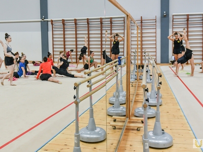 Вступительные испытания. Избранный вид спорта / Егор Данилов, Павел Железняк