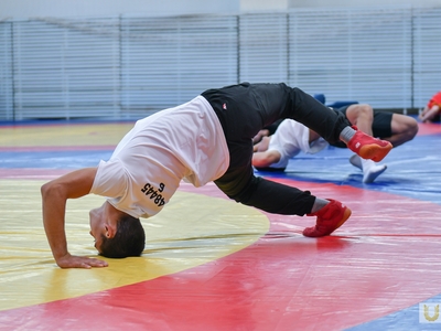 Entrance tests. Selected sport / Egor Danilov, Pavel Zheleznyak