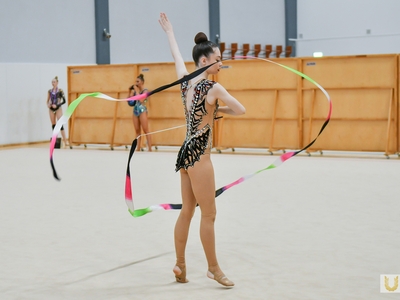 Entrance tests. Selected sport / Egor Danilov, Pavel Zheleznyak