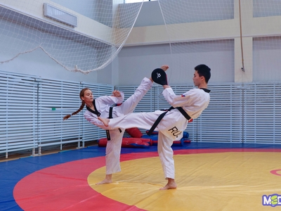 Entrance tests. Selected sport / Egor Danilov, Pavel Zheleznyak