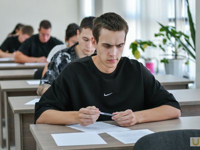 Вступительные испытания. Русский язык / Павел Железняк