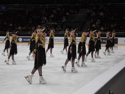 
Студентки кафедры - бронзовые призёры Чемпионата России по синхронному фигурному катанию на коньках
