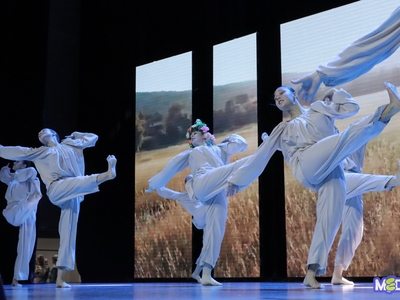 День открытых дверей / Алина Гильмуллина, Ксения Животенко