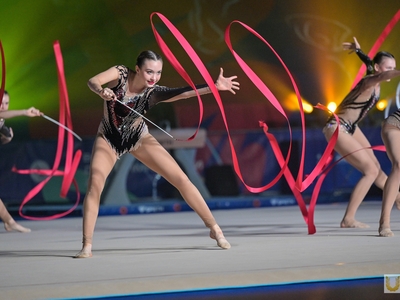 Всероссийский день гимнастики. Шоу-программа / Павел Железняк