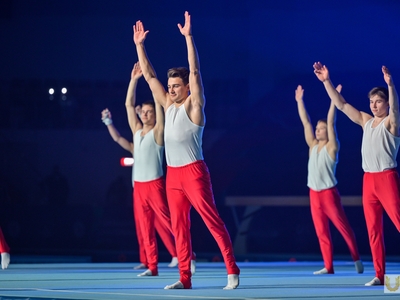 Всероссийский день гимнастики. Шоу-программа / Павел Железняк