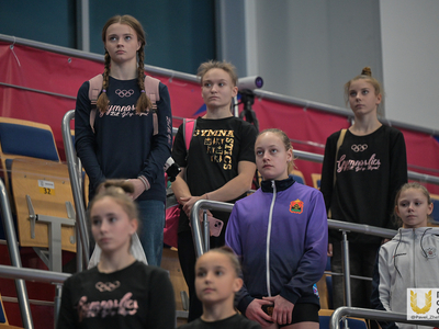 Открытие первенства России по спортивной гимнастике / Павел Железняк