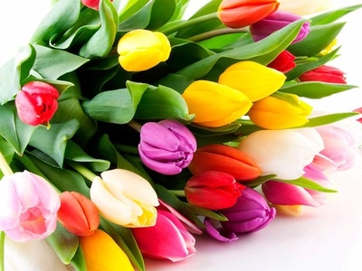 Congratulation of the Deputy Minister of sports of the Russian Federation from March 8
