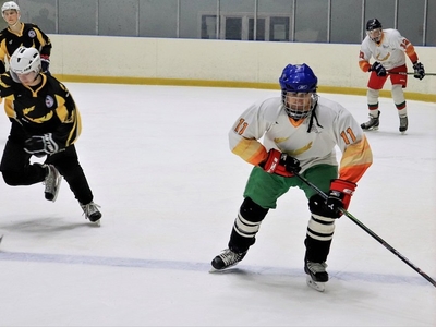 Real associate professors play hockey!