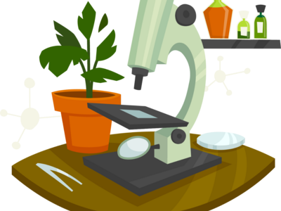 The enrolment for the additional general education programme "Preparation for the USE in Biology" (144 academic hours) is underway.